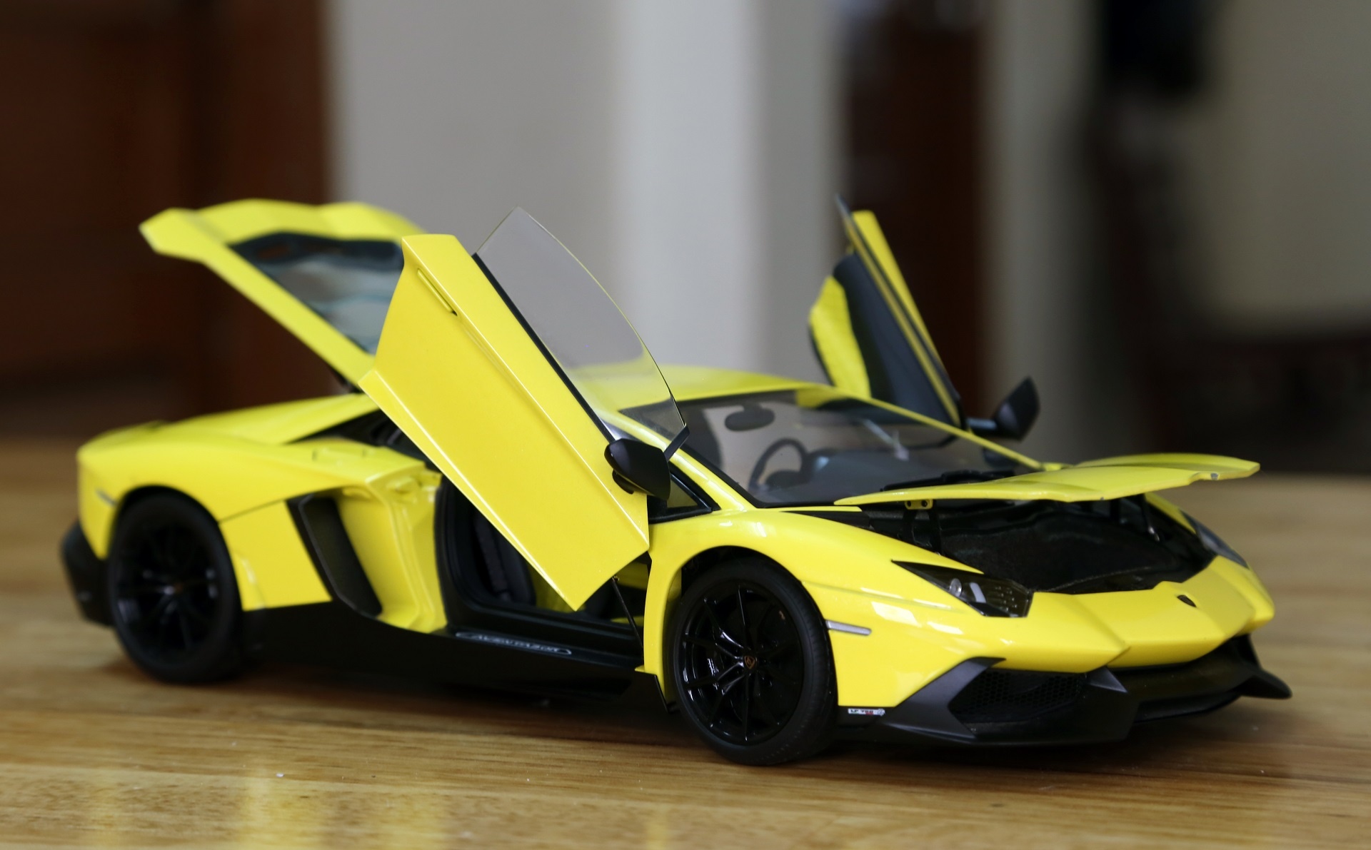 dan xe mo hinh bien xanh o Can Tho anh 2