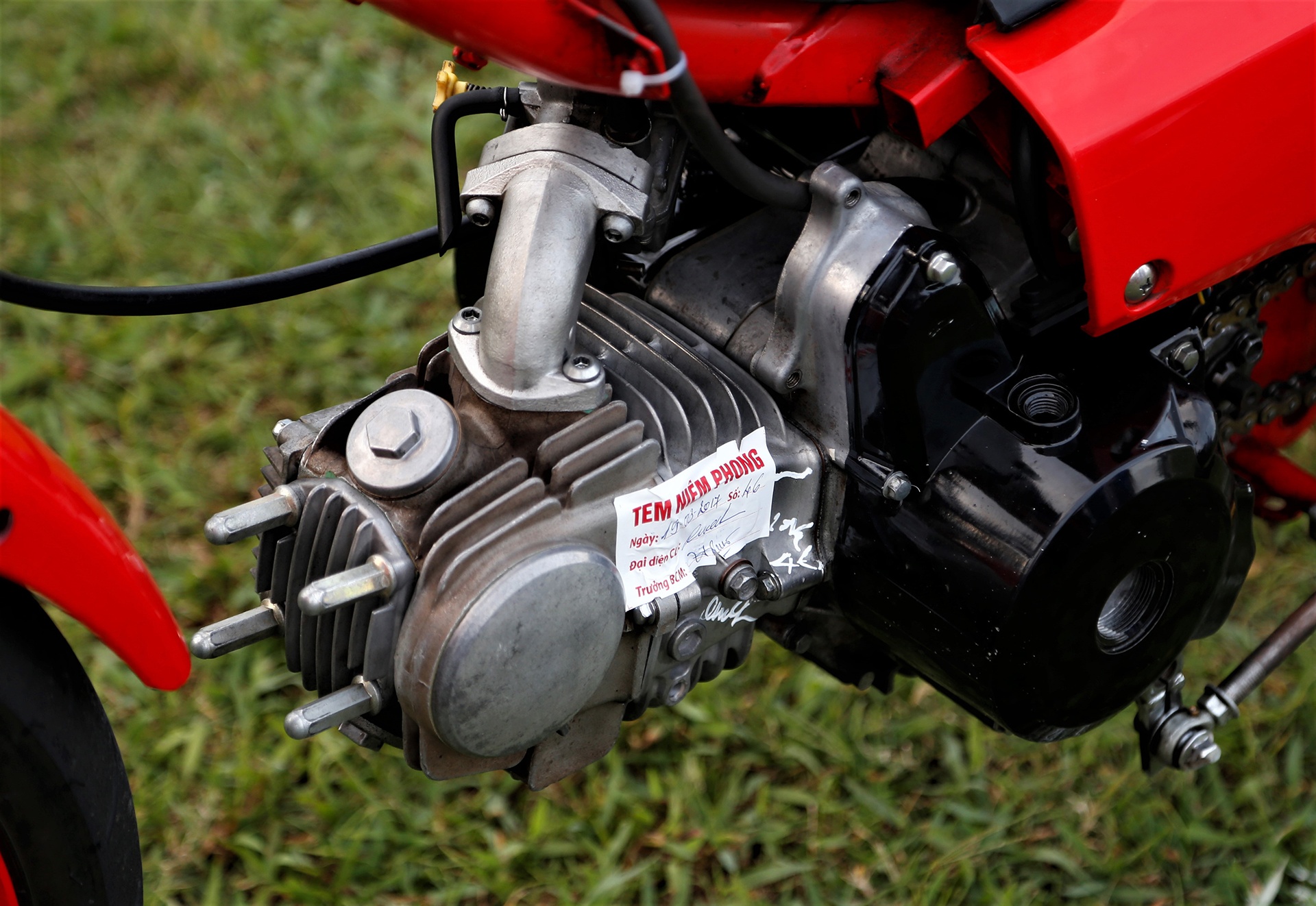 dua Honda tai Phu Yen anh 2