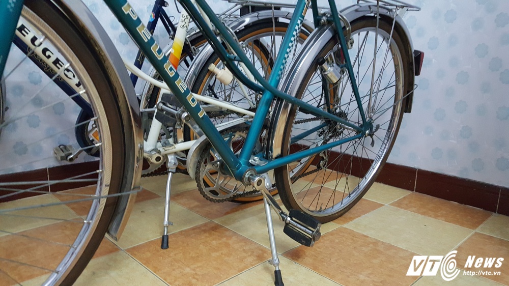 xe dap Peugeot anh 9