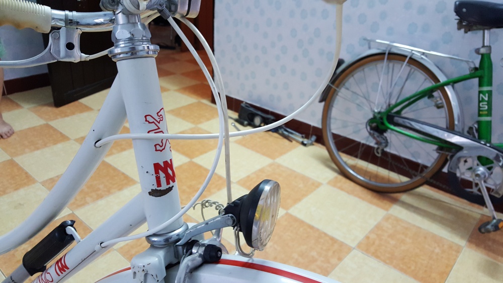 xe dap Peugeot anh 11