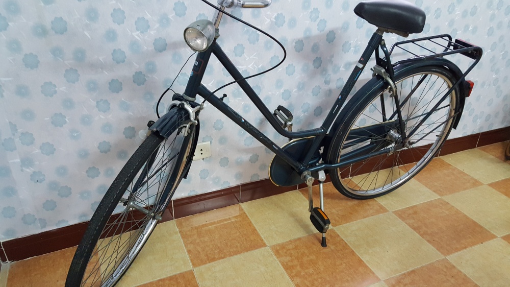 xe dap Peugeot anh 12