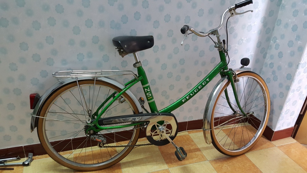 xe dap Peugeot anh 14