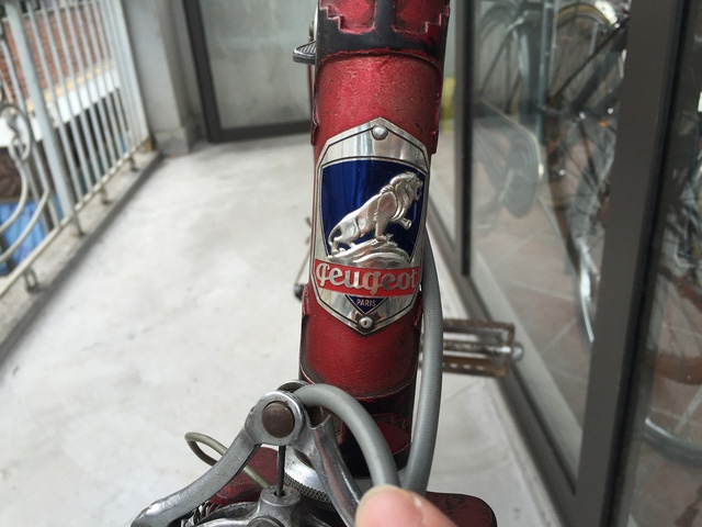 xe dap Peugeot anh 6