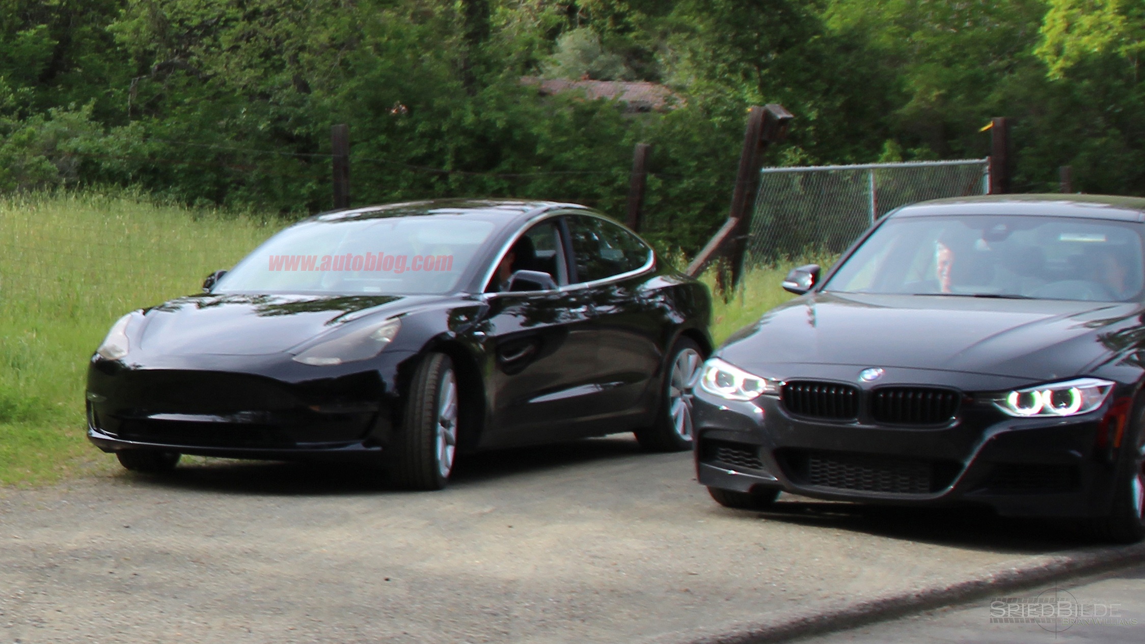 Tesla Model 3 ra mat anh 6