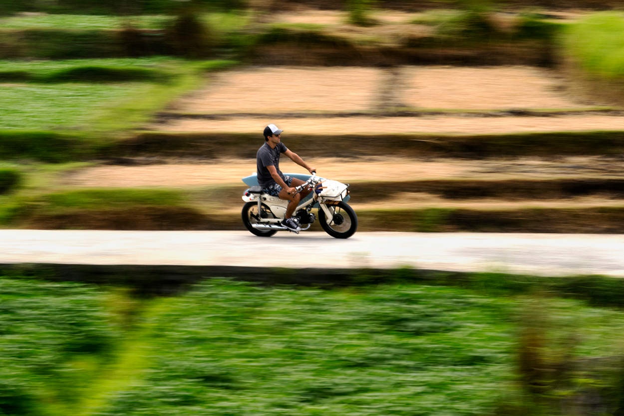 Honda Cub do dep anh 8