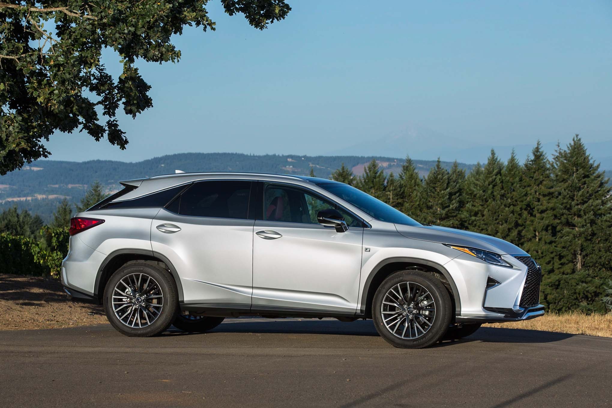 Lexus chat vat tim cho dung o chau Au hinh anh