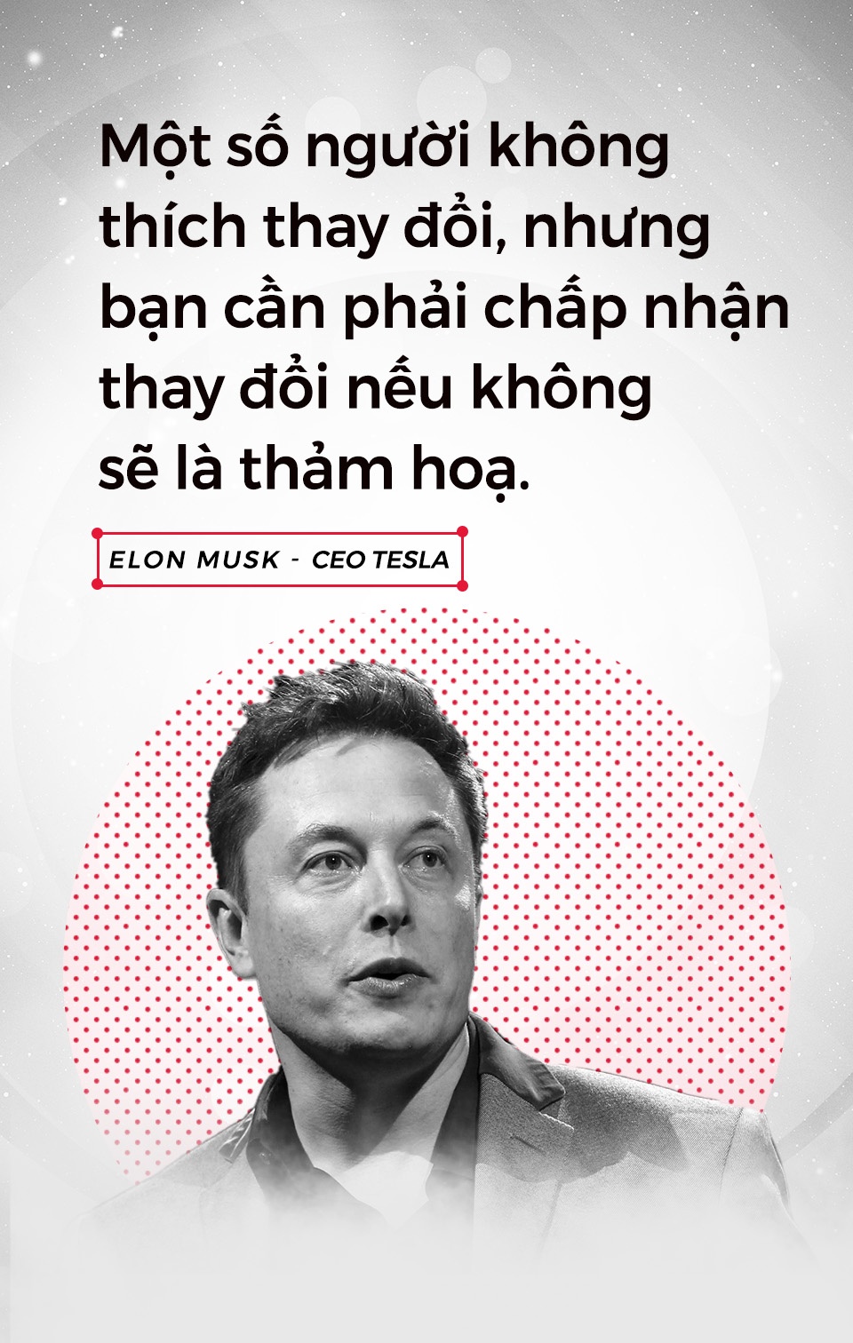 Hang xe dien Tesla anh 3