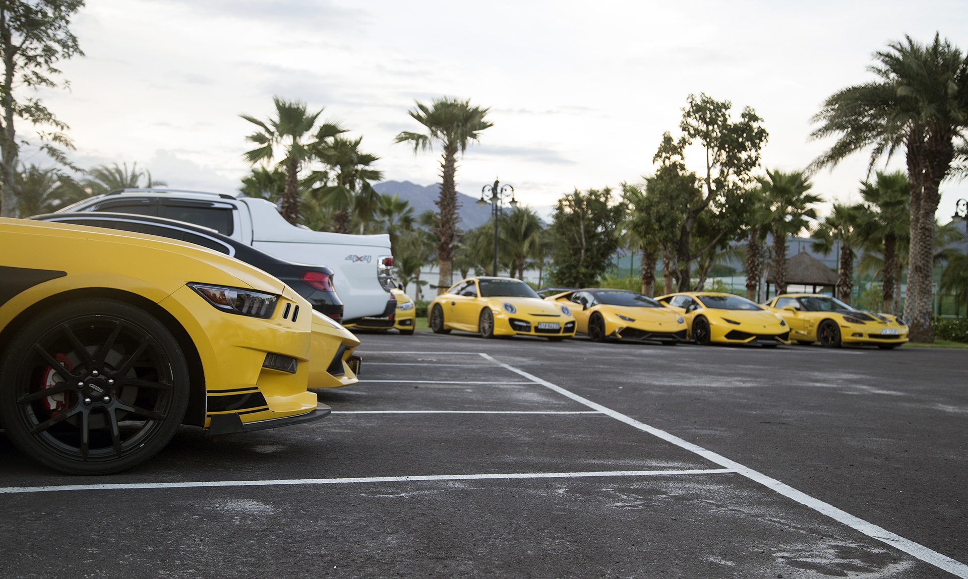 sieu xe Yellow Team anh 17