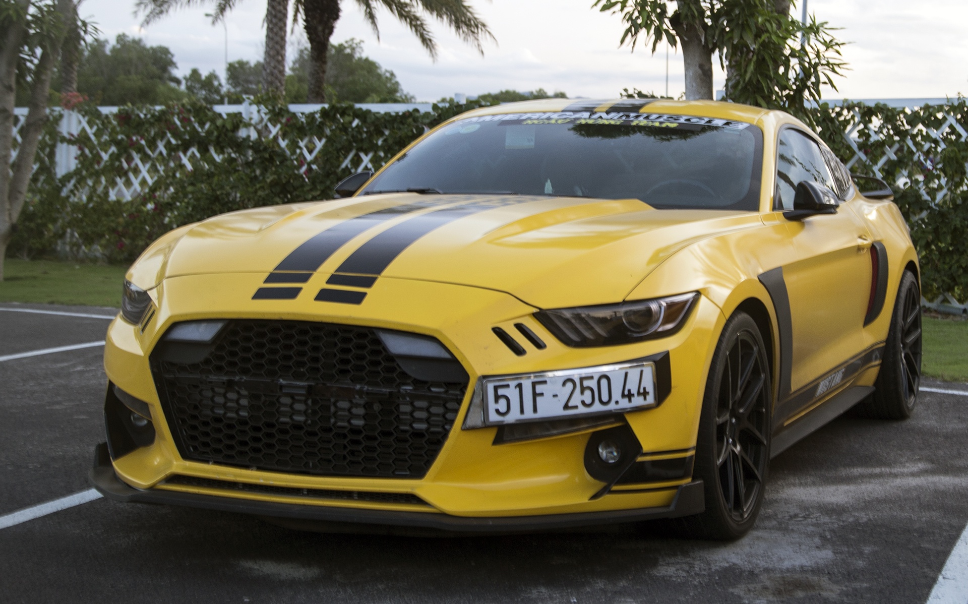 sieu xe Yellow Team anh 8