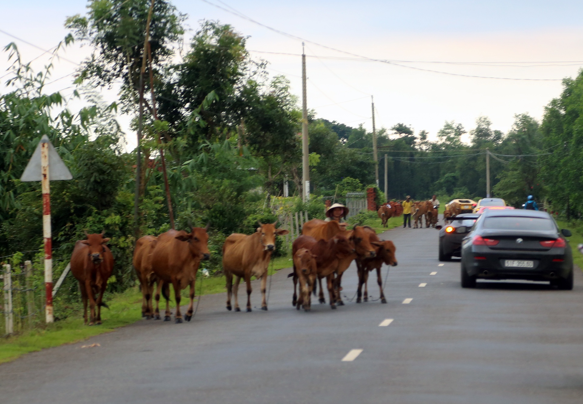 Hanh trinh sieu xe Yellow Team anh 18