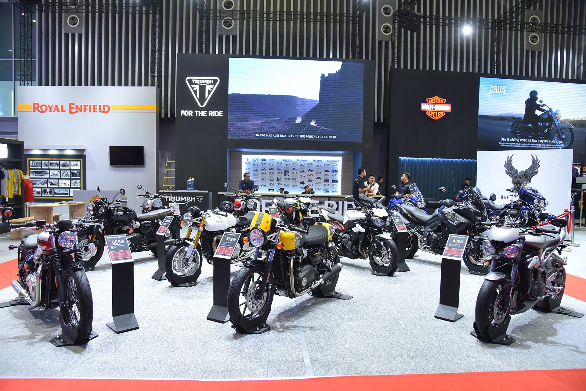 bang gia Triumph tai Viet Nam anh 1