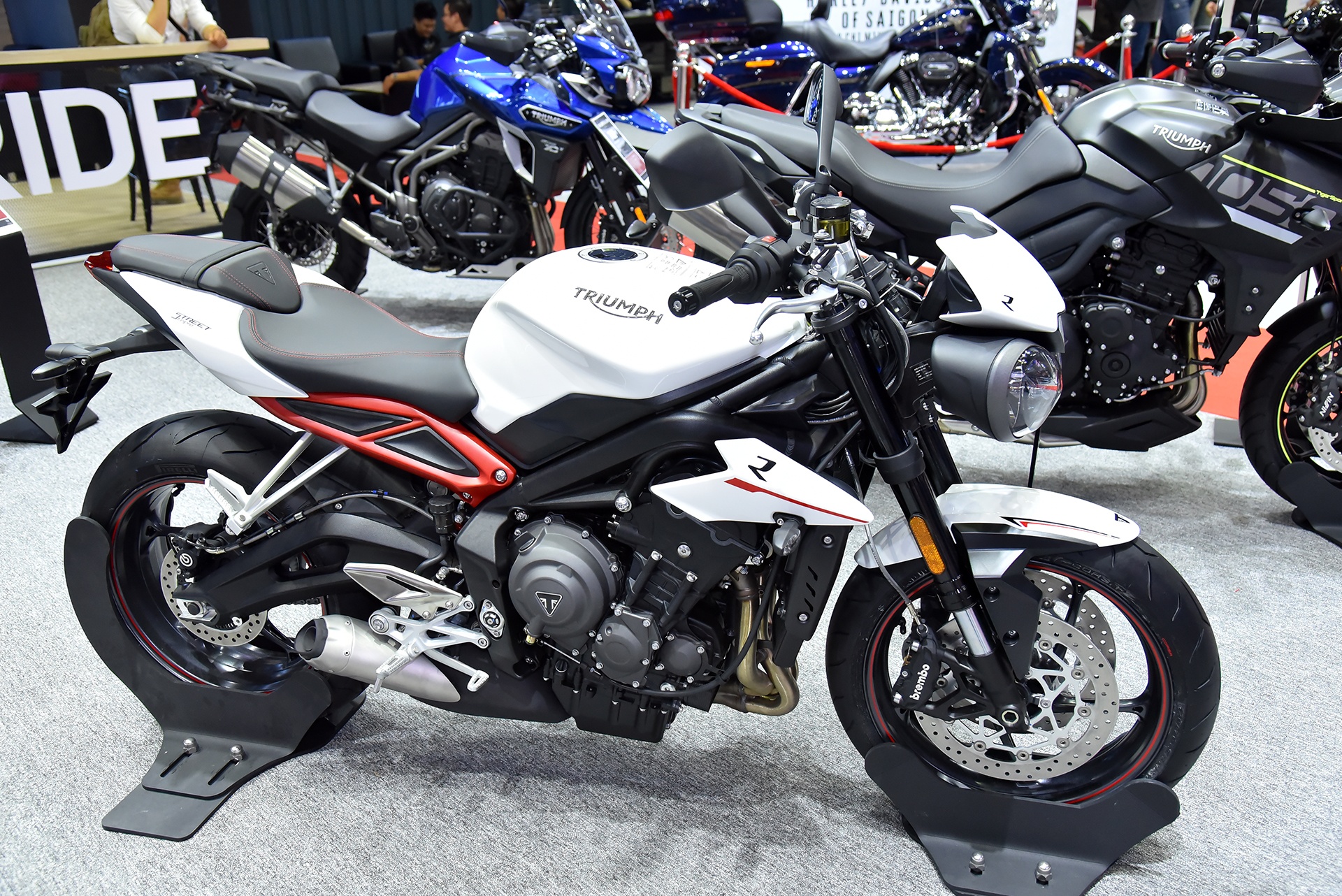 bang gia Triumph tai Viet Nam anh 10