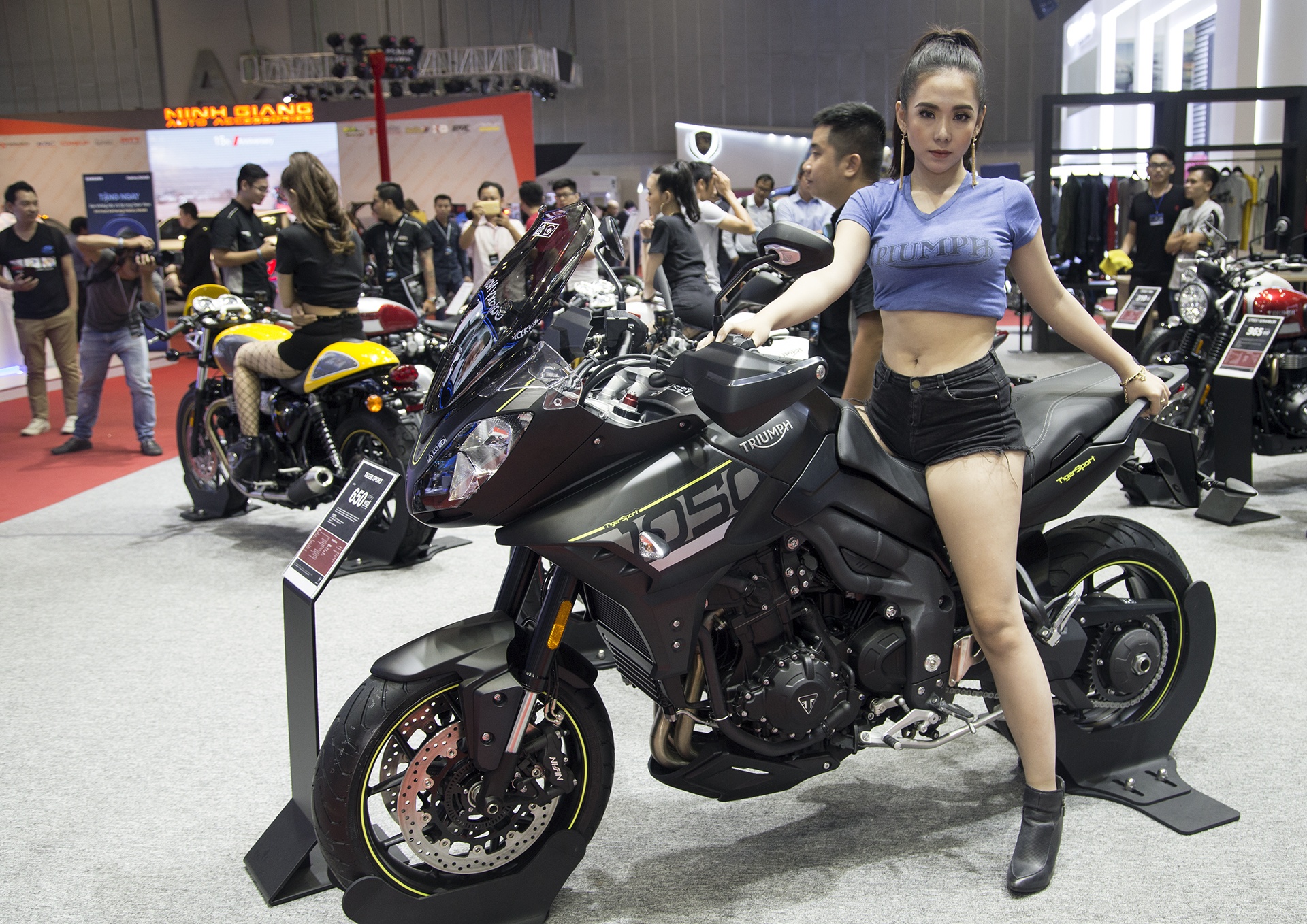 bang gia Triumph tai Viet Nam anh 8