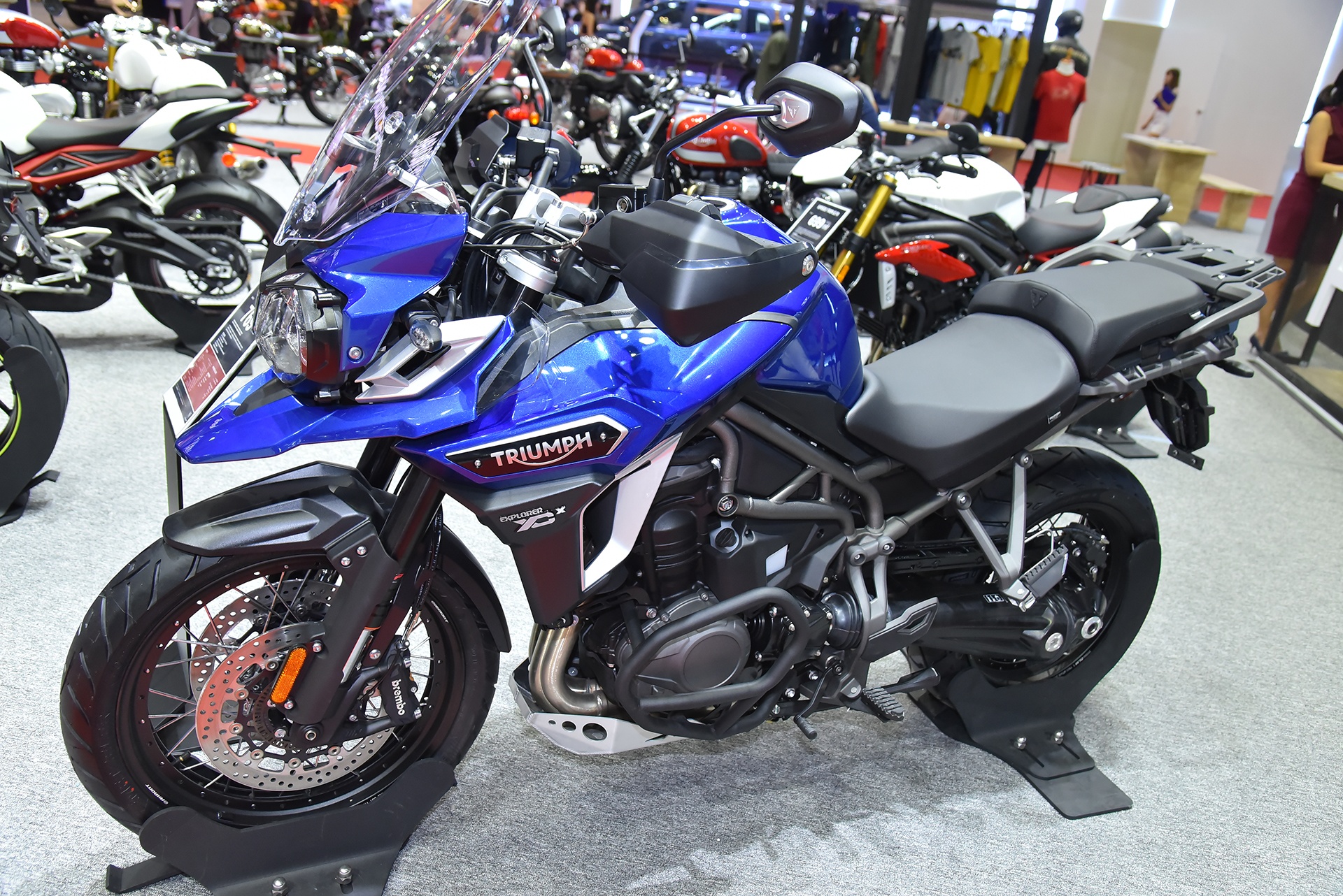 bang gia Triumph tai Viet Nam anh 9