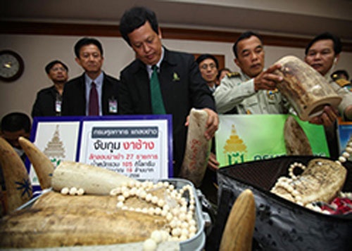 Nguoi Viet buon lau nga voi, giau ca trong tui quan hinh anh