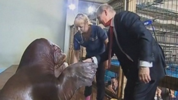 Putin bat tay hai ma hinh anh