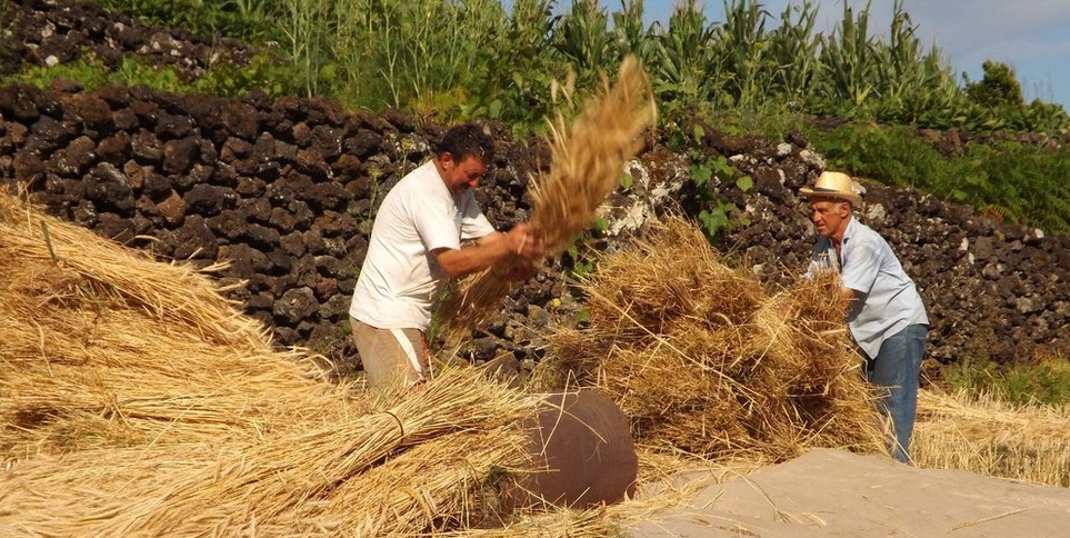 Nhip song nong thon khap hanh tinh hinh anh