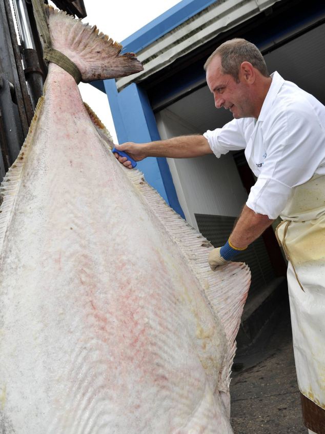 Bat duoc ca chim 150 tuoi hinh anh