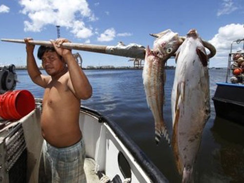 Mat duong 'hut' ca map vao bo bien Hawaii hinh anh