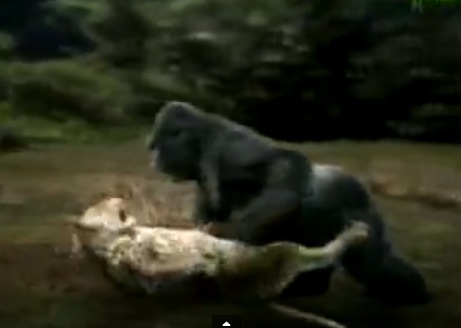 Cuoc chien sinh tu giua khi dot va bao hinh anh