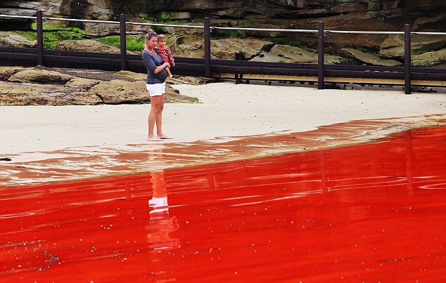 Nhung bai bien do nhu mau hinh anh