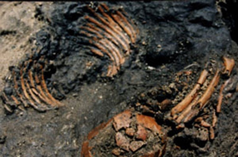 5 'nghia dia' lo thien dang so nhat hanh tinh hinh anh