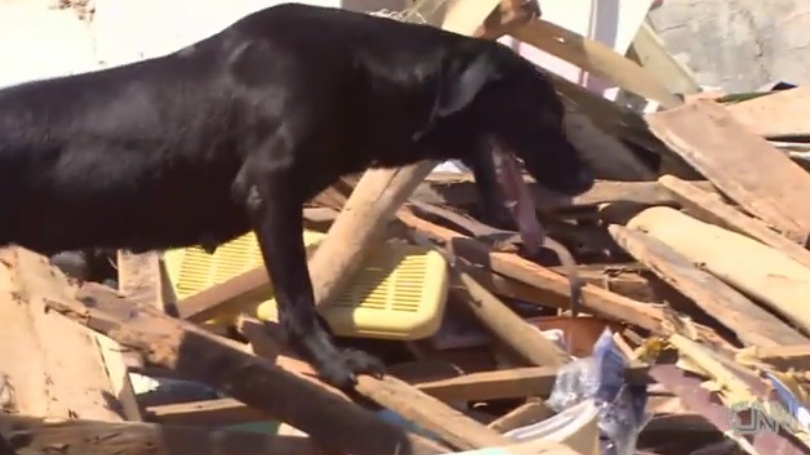 Cho nghiep vu tim thi the nan nhan sieu bao Haiyan hinh anh