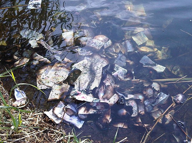 Hon 2 ty tien mat troi noi tren song hinh anh