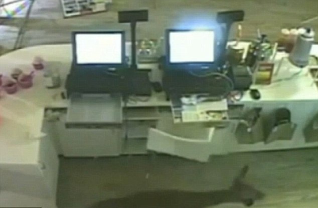 Nai 'lam xiec' trong cua hang sua chua hinh anh