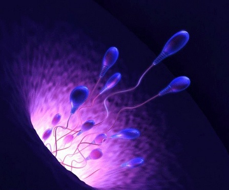 Robot tinh trung dau tien tren the gioi hinh anh