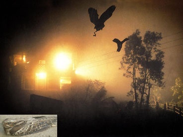 Thung lung chim tu sat o An Do hinh anh