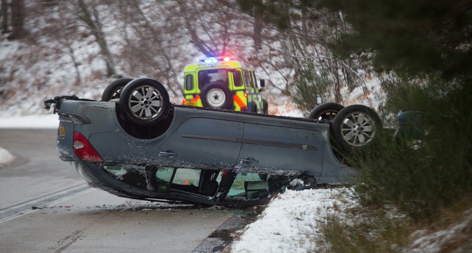 Dan Anh mat Giang sinh vi bao lon hinh anh