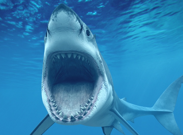 Thoat chet ngay duoi ham ca map hinh anh