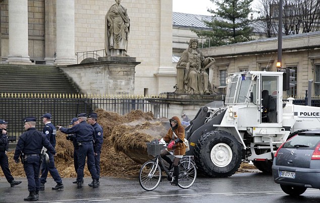 Nguoi bieu tinh chat phan ngua truoc toa nha quoc hoi Phap hinh anh