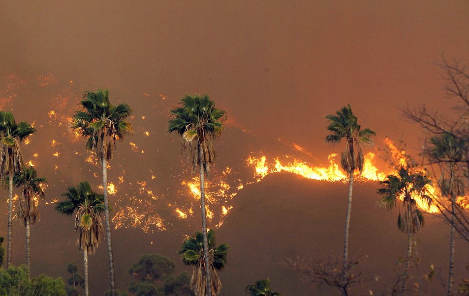 2.000 nguoi so tan vi mot dam lua trai hinh anh