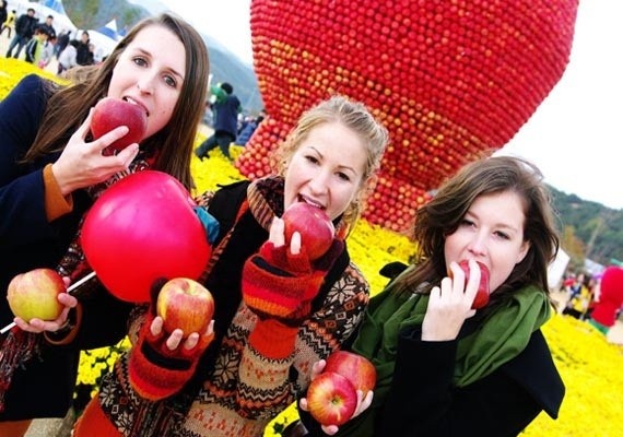 Don Tet voi le hoi tao do cua Han Quoc hinh anh