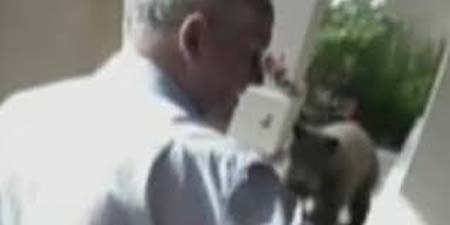 Gau tien vao nha ma nguoi khong he biet hinh anh