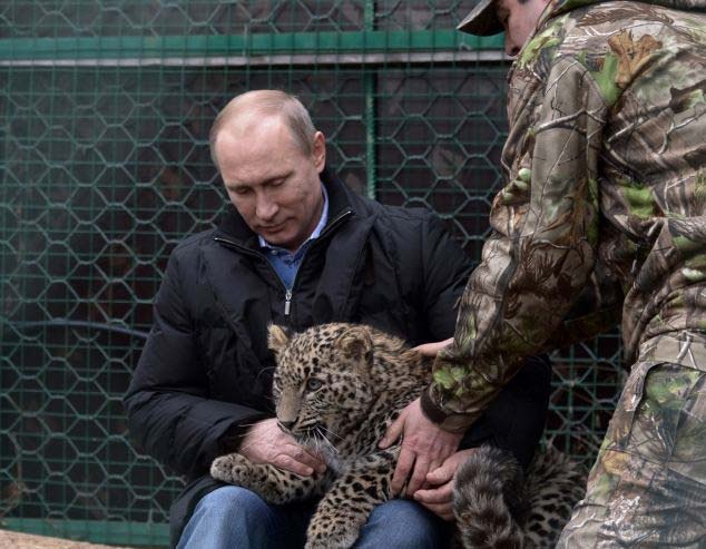 Tong thong Putin vuot ve bao quy hiem hinh anh