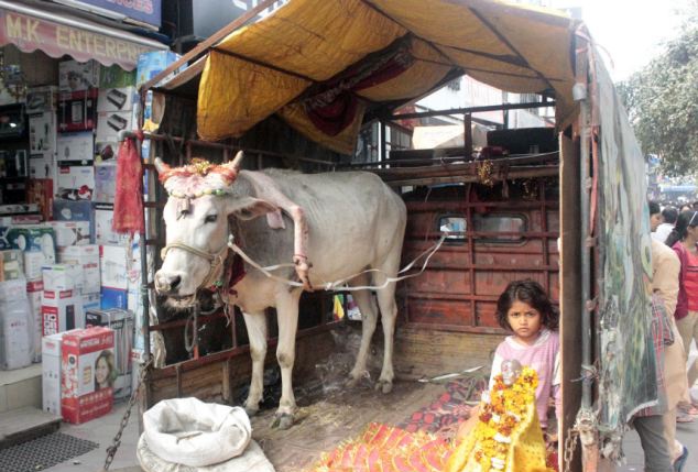 Bo 5 chan ‘chu du’ An Do hinh anh