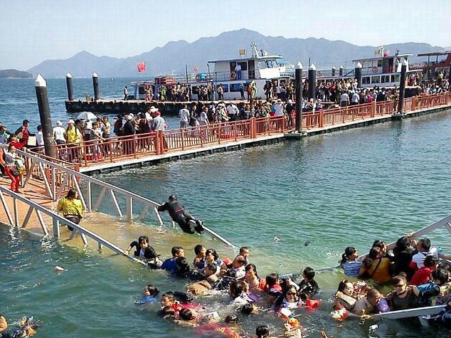 4 video cau sap noi tieng hinh anh