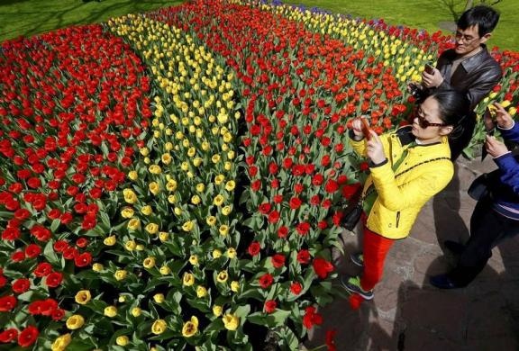 Thien duong hoa Ha Lan nhin tu tren cao hinh anh