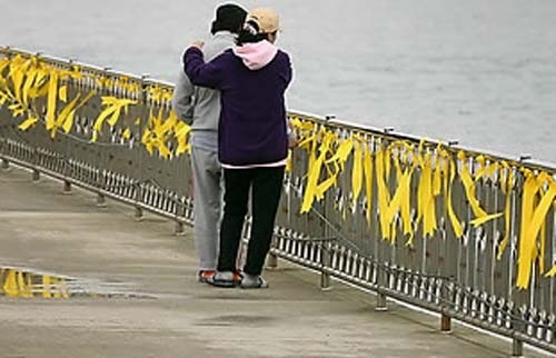 Dan Han phai dieu tri tam ly sau vu tau chim hinh anh