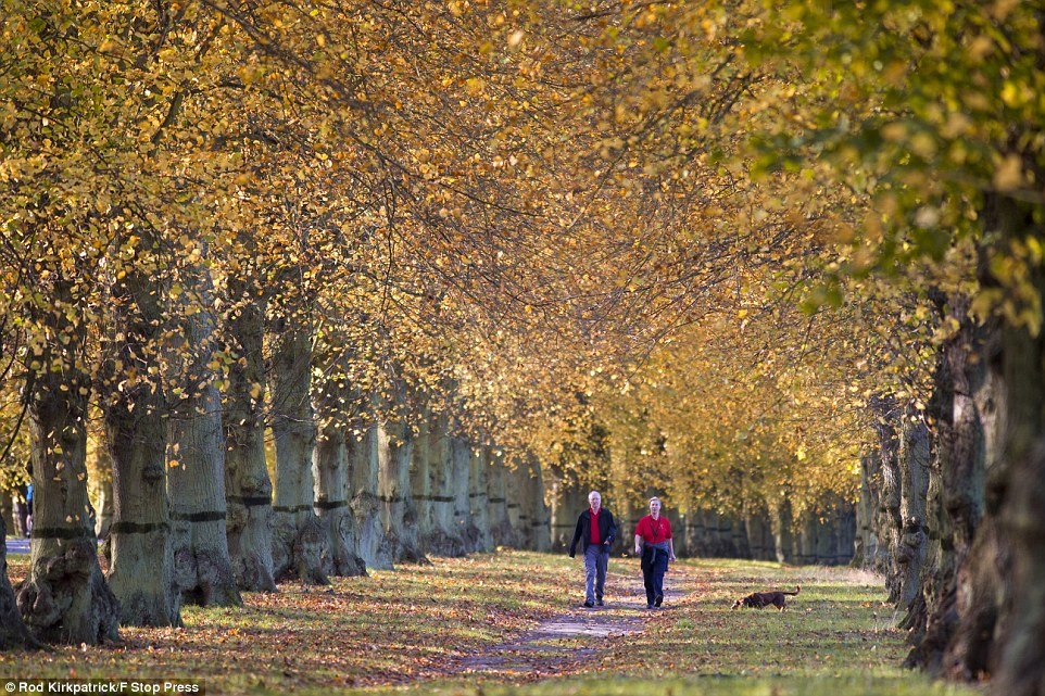 Ve dep thien nhien truoc bao trong mua thu tai Anh hinh anh