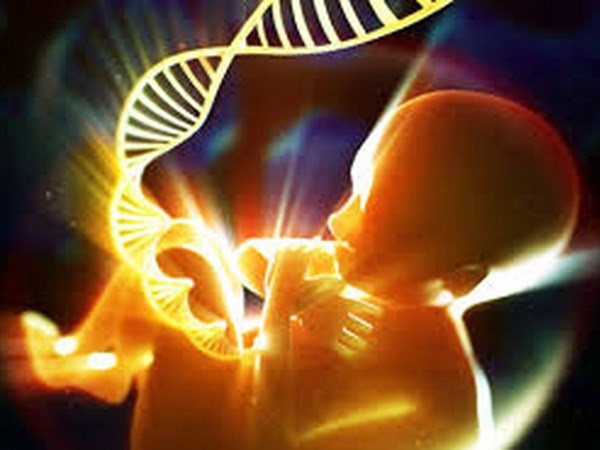 Nga che tao thiet bi theo doi su phat trien cua thai nhi hinh anh