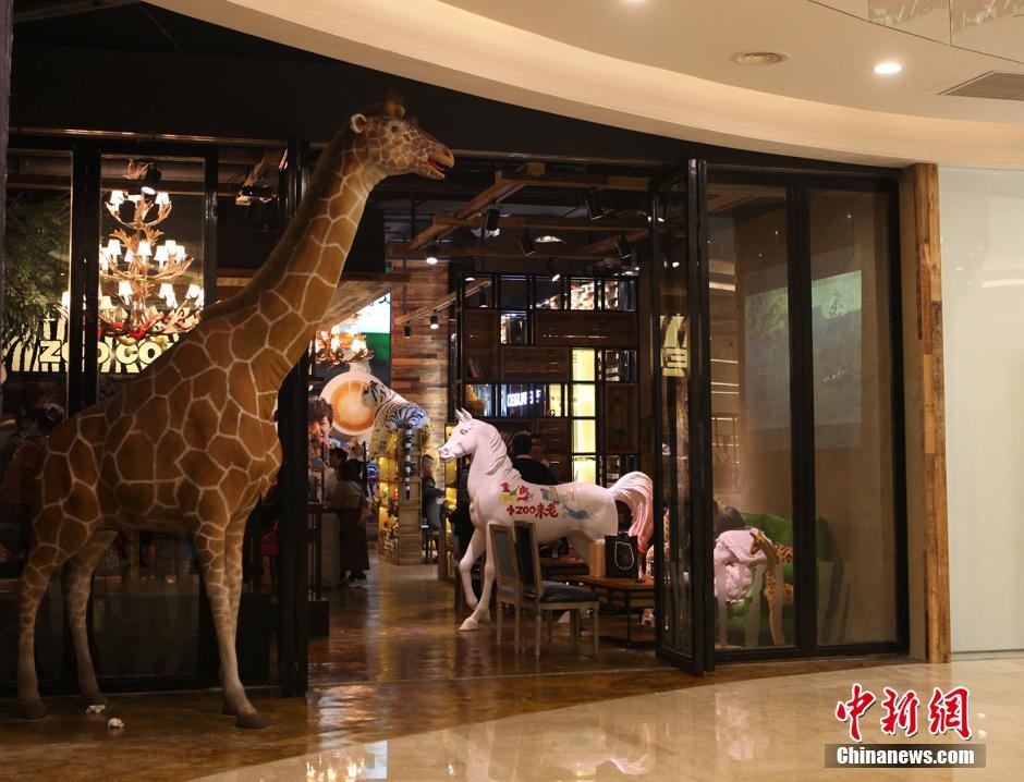 Uong cafe voi huou cao co va ho hinh anh