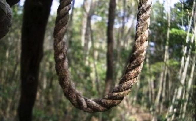 Khu rung co hang nghin nguoi tu sat o Nhat Ban hinh anh