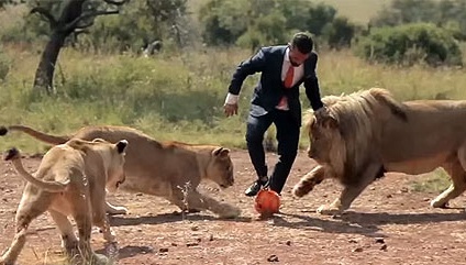 Nguoi dan ong choi bong cung su tu hinh anh