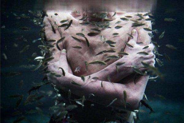 10 chuyen kho tin ve dong vat ky sinh trong nguoi (ky 1) hinh anh