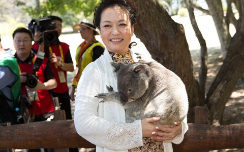 Phu nhan cac nha lanh dao G20 chup anh voi gau tui Australia hinh anh