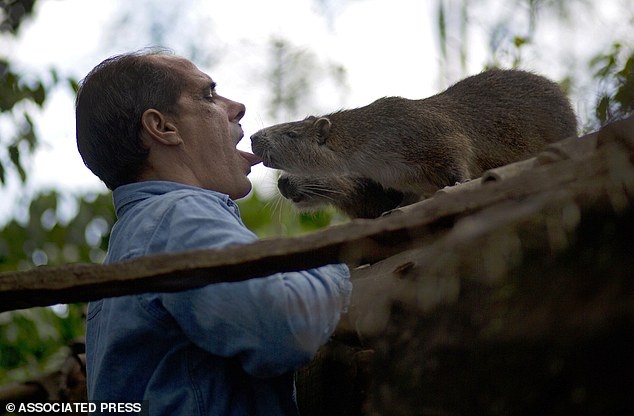 Cap vo chong song chung voi con vat giong chuot khong lo hinh anh